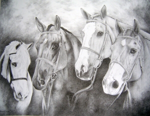 Cliff Casey horse drawing, printed with permission.